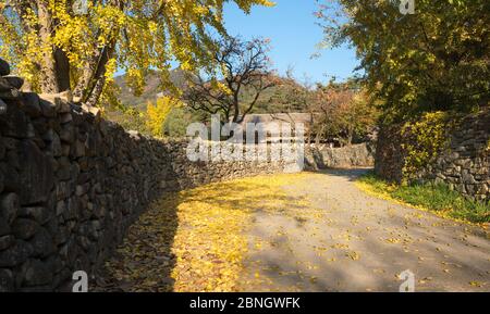 Koreanische traditionelle Dorf und Steinmauer Straße. Traditionelles Bauerndorf in Asan Oeam Folk Village, Südkorea Stockfoto