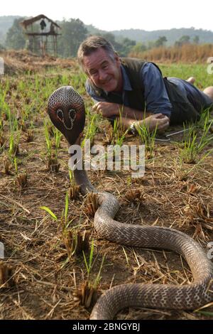 Moderator Nigel Marven mit Gespenstigen Kobra (Naja naja) auf einem Reisfeld, Indien. November 2015 Stockfoto