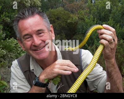 Moderator Nigel Marven hält männliche Boomslang-Schlange (Dispholidus typus) aus der Cape Region, Südafrika, Oktober. 2013 Stockfoto