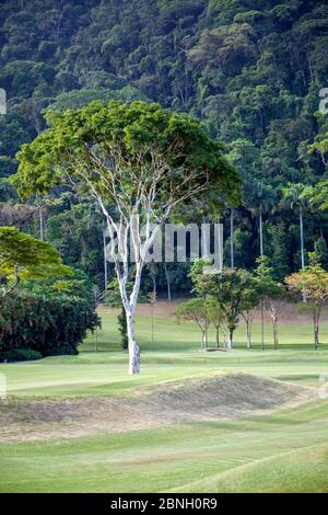 Gávea Golf und Country Club in Rio de Janeiro, Brasilien Stockfoto