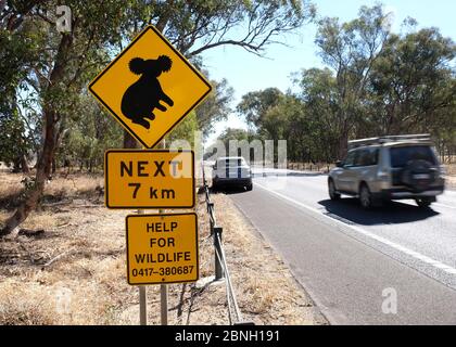 Koala Warnschild entlang Hume Highway, New South Wales, Australien Stockfoto