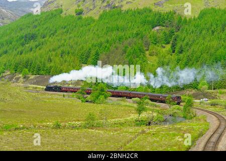 LNER Thompson Klasse B1 Dampfmaschine Nr. 61264 zieht die Jacobite Dampfzug in Richtung Mallaig östlich von Glenfinnan von Fort William Highland Scotland Stockfoto