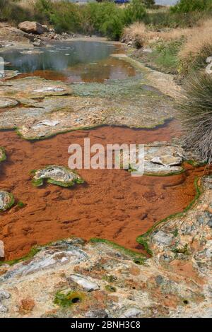 Thermalfluss, gespeist mit kochendem Wasser aus heißen Quellen, mit bunten Wucherungen und Krusten von blaugrünen Algen, Lisvori, Polychnitos, Lesbos / L Stockfoto