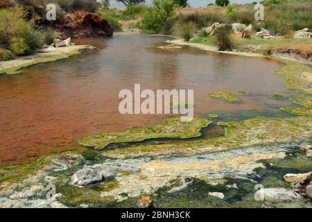 Thermalfluss, gespeist mit kochendem Wasser aus heißen Quellen, mit bunten Wucherungen und Krusten von blaugrünen Algen, Lisvori, Polychnitos, Lesbos / L Stockfoto