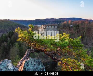 Alte Ruine Divci kamen mit Stein und Baum bei Sonnenaufgang. Tschechische republik Stockfoto