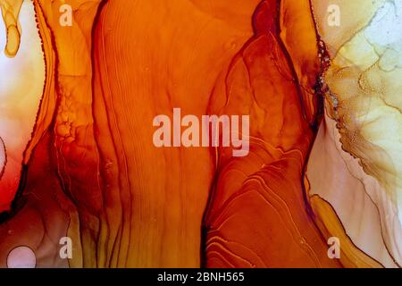 Kühles Rot, Orange und Gelb Hintergrund. Alkohol Tinten Malerei auf Leinwand. Moderne Kunst. Abstrakte zeitgenössische Kunst Stockfoto