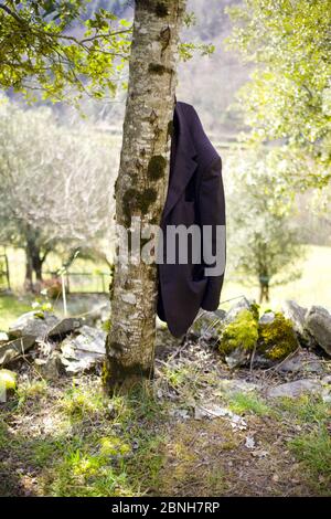 Ein Herrenanzug Jacke hängt an einem Baum auf einem Sonniger Nachmittag in den Cevennes Bergen in Frankreich Stockfoto