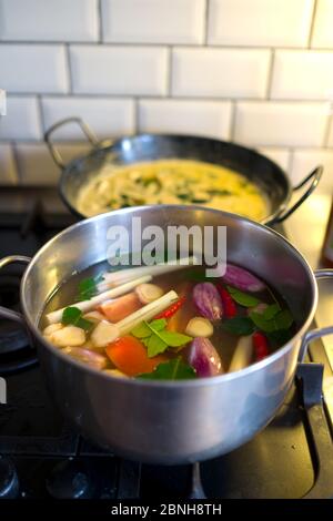 Eine Nahaufnahme eines Kochtöpfe auf dem Kochfeld Mit einer thai-Suppe mit frischem Gemüse und einem Gericht Mit Curry im Hintergrund in einer heimischen Küche Stockfoto