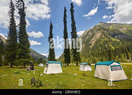 Grünes Zelt im Bergtal mit hohen Tannen im Karakol Nationalpark in der Nähe von Issyk Kul, Kirgisistan Stockfoto