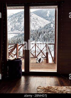 Niedlicher Hund schläft im Winter im Holzhaus im Bergresort Stockfoto