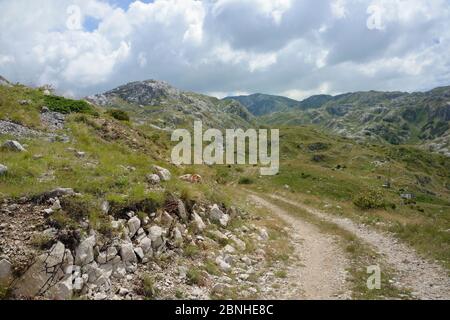 Weg in den Kalkstein Berge des Nationalpark Durmitor, Montenegro, Juli 2014. Stockfoto