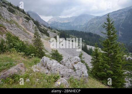 Kalksteinfelsen und Geröll an den Hängen des Mount Maglic, Bosniens höchstem Berg, mit Blick auf Velika Vitao Gipfel in Montenegro über die Nähe Stockfoto