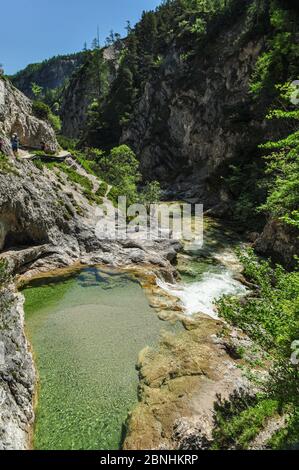 Wasserfälle und Kaskaden im Oetscher Nationalpark, Frühling Stockfoto