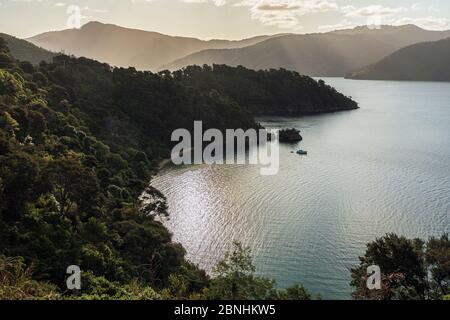 Sonnenuntergang über Governors Bay, Marlborough Sounds, South Island, Neuseeland Stockfoto