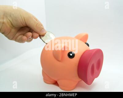 Hand einer Person, die eine Münze in ein Plastikschwein in einem weißen Hintergrund einführt Stockfoto