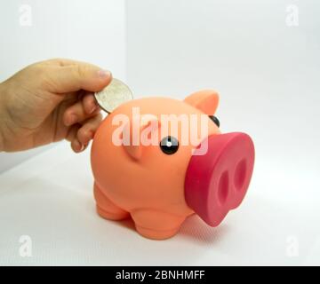 Hand einer Person, die eine Münze in ein Plastikschwein in einem weißen Hintergrund einführt. Stockfoto