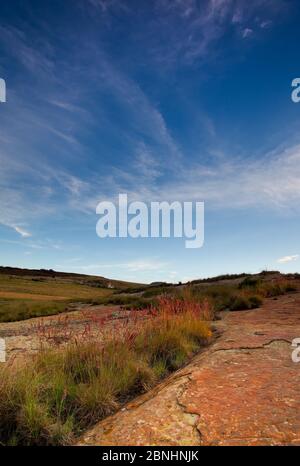 Farmlandschaft in der Nähe von Clarens, Südafrika Stockfoto