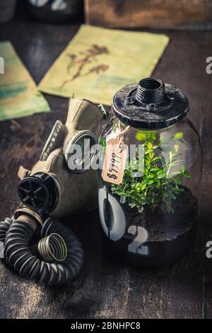 Bizarre Sauerstoffquelle als Frischluftproblem Stockfoto