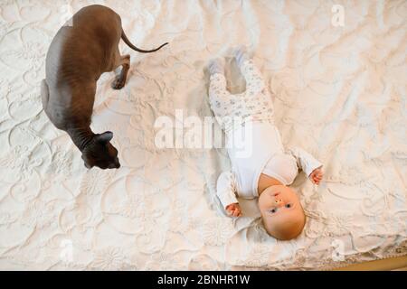 Große sphynx Katze sitzt in der Nähe Baby Kleinkind auf weißem Bett Stockfoto