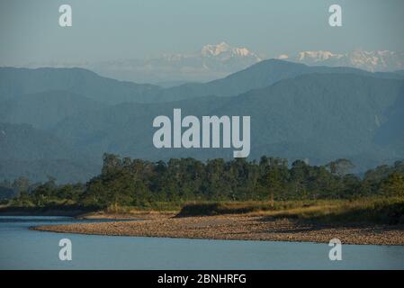 Landschaft von Jai Bhoralli Fluss und Berg, Gorichand Nameri Wildlife Reserve, Assam, North East India. November 2014. Stockfoto
