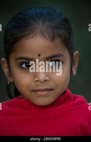 Porträt des jungen Assamesischen Mädchens, Assam, Nordostindien. November 2014. Stockfoto