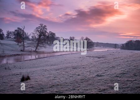 Wasserwiesen entlang Sherborne Brook, einem Nebenfluss des Flusses Windrush, Sherborne, Gloucestershire, Großbritannien. März 2015. Stockfoto