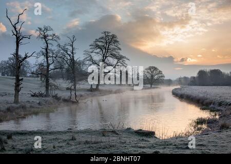 Wasserwiesen entlang Sherborne Brook, einem Nebenfluss des Flusses Windrush, Sherborne, Gloucestershire, Großbritannien. März 2015. Stockfoto