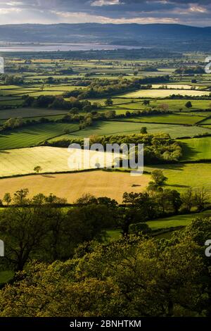 Patchwork der Felder auf den Severn Vale mit dem Fluss Severn jenseits, Gloucestershire, Vereinigtes Königreich. Mai 2015. Stockfoto