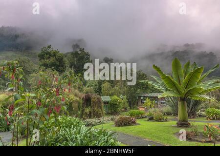 SAN GERARDO DE DOTA, COSTA RICA - Apr 27, 2012: Grundstück, Garten der Savegre Mountain Lodge, eine Öko-Lodge in der Cordillera de Talamanca an einem Nachmittag Stockfoto