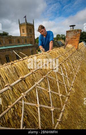 Dan Quatermain, Meister thatcher, der an einem Reetdach in Wroxton Village, Oxfordshire, Großbritannien arbeitet. September 2015. Stockfoto