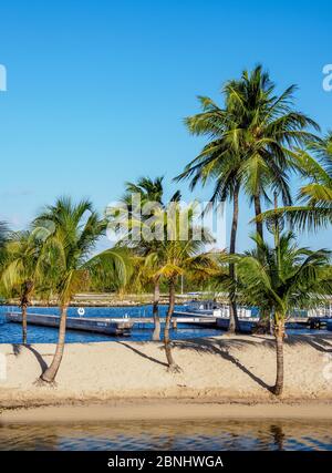 Camana Bay Marina, George Town, Grand Cayman, Cayman Islands Stockfoto