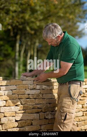 Traditionelle Trockenmauern Waller arbeiten mit Cotswolds Kalkstein eine Mauer, Guiting Macht, Gloucestershire, Vereinigtes Königreich. Oktober 2015. Stockfoto