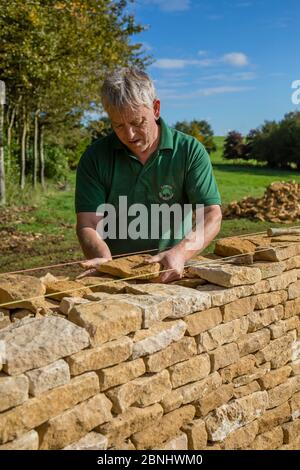 Traditionelle Trockenmauern Waller arbeiten mit Cotswolds Kalkstein eine Mauer, Guiting Macht, Gloucestershire, Vereinigtes Königreich. Oktober 2015. Stockfoto