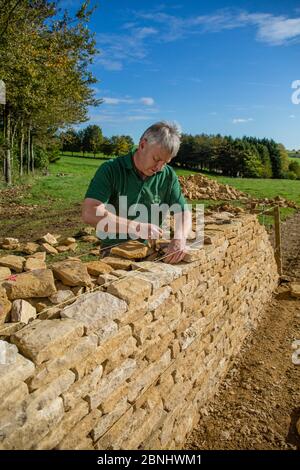 Traditionelle Trockenmauern Waller arbeiten mit Cotswolds Kalkstein eine Mauer, Guiting Macht, Gloucestershire, Vereinigtes Königreich. Oktober 2015. Stockfoto