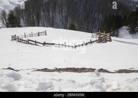 Zaun auf einem Feld mit Neuschnee in Metsovo, Griechenland Stockfoto