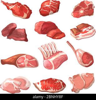 Lamm, Schweinefleisch Rind und andere Fleischbilder im Cartoon-Stil Stock Vektor