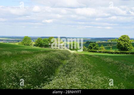 Die Landschaft in der Nähe von Wallington, Herts Stockfoto
