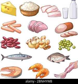 Abbildungen verschiedener Produkte, die Protein enthalten. Vektor-Bilder im Cartoon-Stil Stock Vektor