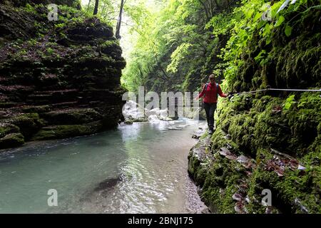 Frau, die durch die Flussschlucht mit einem Sicherheitseil zum Kozjak Wasserfall in Slowenien geht Stockfoto