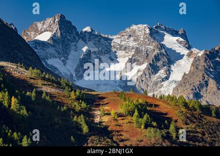 Glacier du Lautaret und Gaspard Peak im Herbst mit wilden Heidelbeerfeldern in rot gefärbt. Col du Lautaret, Nationalpark Ecrins, Hautes-Alpes, Frankreich Stockfoto