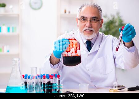 Der alte, im Labor arbeitende Chemiker Stockfoto
