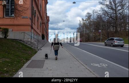 22. April 2018, Stockholm, Schweden. Eine Frau mit einem schwarzen Hund an der Leine auf einer der Straßen Stockholms. Stockfoto