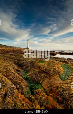 Leuchtturm von Slangkop in der Nähe von Kommetjie, Kapstadt Stockfoto