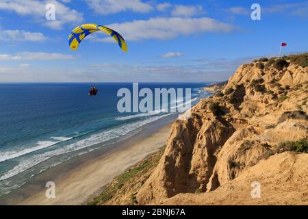 Torrey Pines Gliderport, La Jolla, San Diego, Kalifornien, Vereinigte Staaten von Amerika, Nordamerika Stockfoto