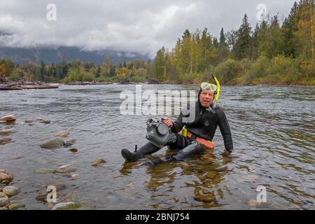 Wildtierfotograf Ingo Arndt fotografiert unter Wasser den Lachs (Oncorhynchus nerka). Adams River, Roderick Haig-Brown Provincial Park, Stockfoto