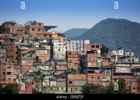 Blick auf Häuser im Cantagalo Favela Slum in Rio de Janeiro mit den Bergen des Tijuca-Nationalparks im Hintergrund, Rio de Janeiro, Brasilien, so Stockfoto