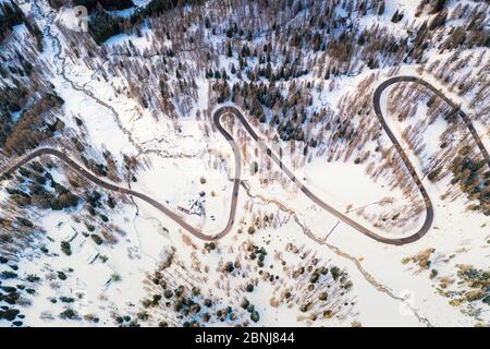 Luftaufnahme von Haarnadelkurven der Bergstraße durch verschneite Wälder, Passo Tre Croci, Dolomiten, Provinz Belluno, Venetien, Italien, Europa Stockfoto