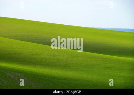 Prärien in der Nähe von Wallington Stockfoto