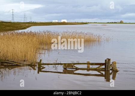 Steart Marshes, WWT Reserve, überflutet bei Flut, mit Hinkley Point Kernkraftwerk im Hintergrund, Somerset, Großbritannien, April 2016. Stockfoto