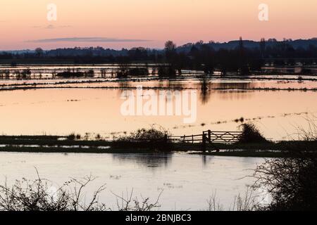 Überschwemmte Felder im Morgengrauen in der Nähe von burrowbridge auf der niedrig gelegenen Somerset Levels, Großbritannien, Februar 2016 Stockfoto